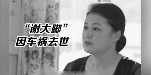 娱乐圈的吃瓜影帝在线,揭秘吃瓜影帝背后的故事